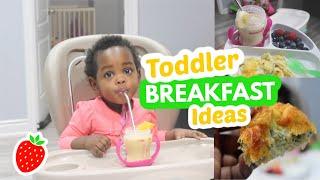 TODDLER BREAKFAST IDEAS | MEAL IDEAS FOR TODDLERS & KIDS