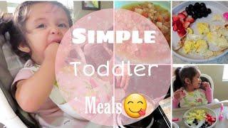 What my toddler eats on a day! 18 month old! Easy meals !