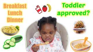 TODDLER DAILY MEALS | MEAL IDEAS FOR TODDLERS | What my 2 year old eats in a day