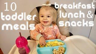 10 Toddler Meal Ideas | Breakfast, Lunch & Snack | What My 15 Month Old Eats in a Week